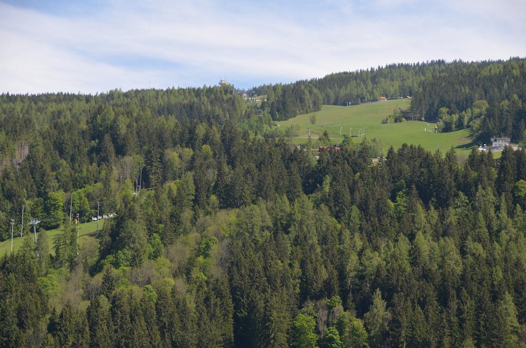 Haus Pitzer/apartments Troicher Apartment Schladming